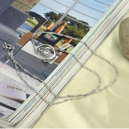 Kompletné Špecifikácie Dámsky  Pokovovaný Titánový Náhrdelník S Kamienkami