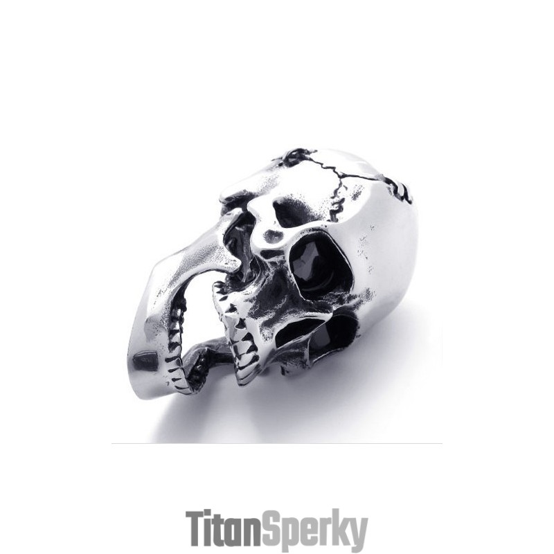 Titánový Prívesok S Lebkou